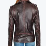 Shop The Women Chocolate Brown Leather Jackets Rare Jacket